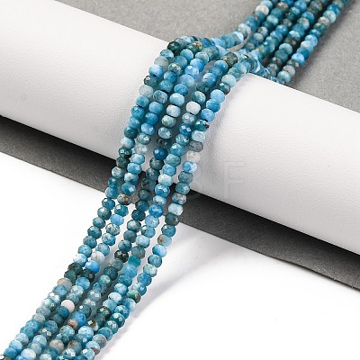 Natural Apatite Beads Strands G-F770-D09-02A-1