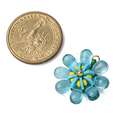 Glass & Polymer Clay Pendants PALLOY-MZ00810-05-1