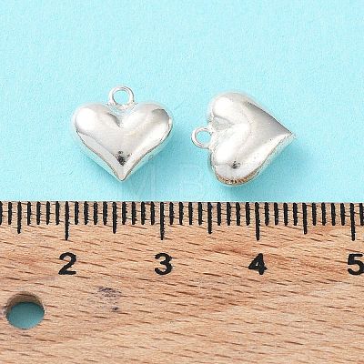 925 Sterling Silver Charms STER-H106-01B-S-1