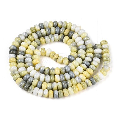 Glass Beads Strands GLAA-N059-5x8mm-32-1