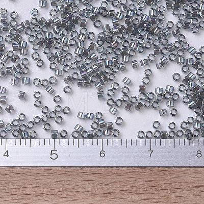 MIYUKI Delica Beads Small X-SEED-J020-DBS0179-1