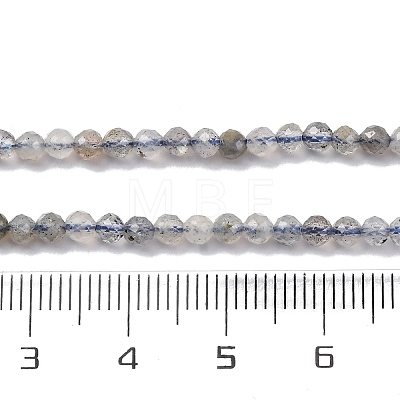 Natural Labradorite Beads Strands G-G188-B11-01-1