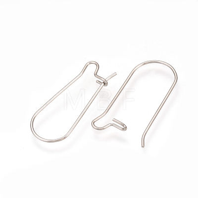304 Stainless Steel Hoop Earrings Findings STAS-Q223-11C-1