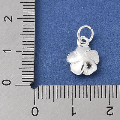 S925 Sterling Silver Charm STER-H115-11B-S-1