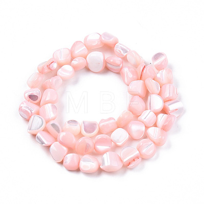 Natural Trochid Shell/Trochus Shell Beads Strands SSHEL-N032-49-A05-1