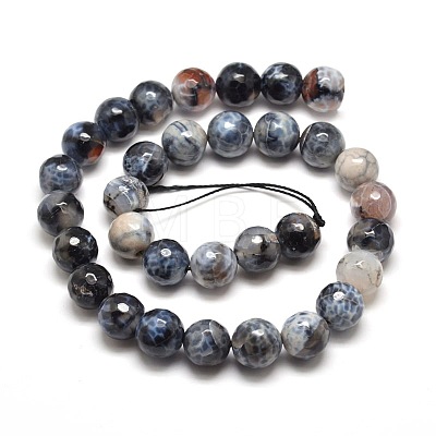 Dyed Natural Agate Faceted Round Beads Strands G-E269-06-1