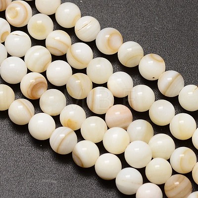 Natural Freshwater Shell Round Bead Strands X-SHEL-M013-01-1