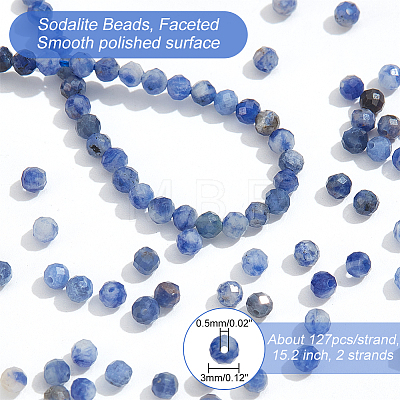  2 Strands Natural Sodalite Beads Strands G-NB0004-62-1