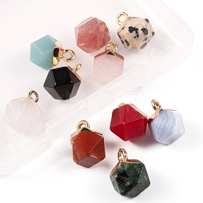 10Pcs 10 Style Electroplate Mixed Gemstone Charms G-LS0002-03-1
