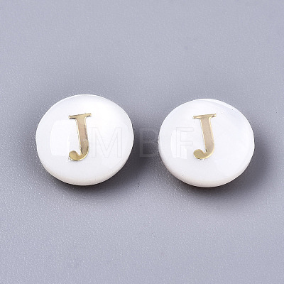 Natural Freshwater Shell Beads SHEL-S266-12J-1