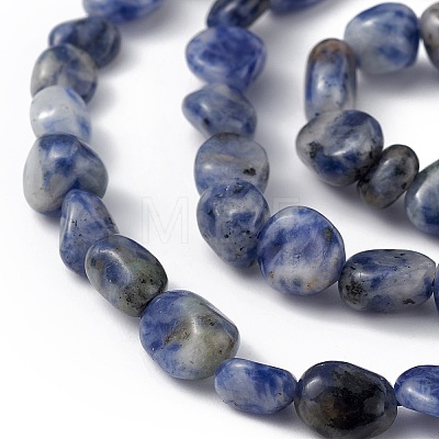Natural Blue Spot Jasper Beads Strands G-B039-02A-1