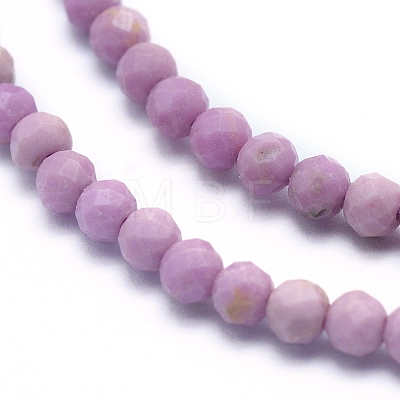 Natural Lepidolite/Purple Mica Beads Strands G-G823-16-3mm-1