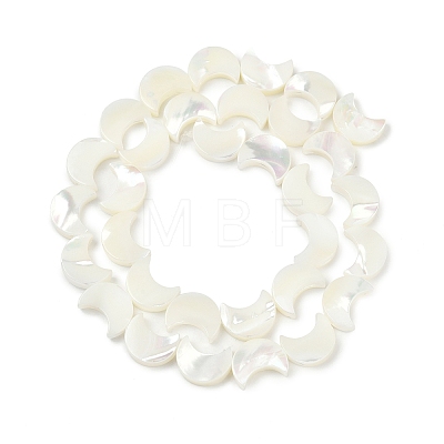 Natural White Shell Beads Strands SSHEL-10X12-1