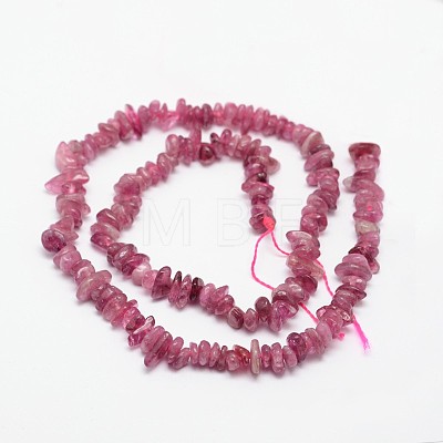 Chips Natural Tourmaline Beads Strands G-N0164-04B-1