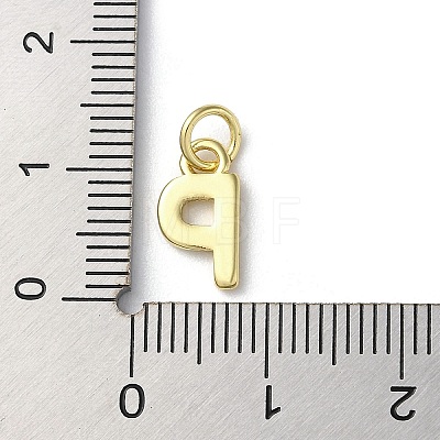 Rack Plating Brass Charms KK-P245-06G-P-1