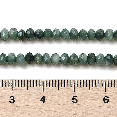 Natural Freshwater Shell Dyed Beads Strands SHEL-R100-13A-05-1