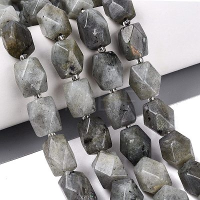 Natural Labradorite Beads Strands G-Q608-11E-1