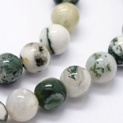 Natural Tree Agate Beads Strands X-G-I199-03-8mm-1