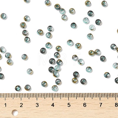 Glass Seed Beads SEED-H002-B-D222-1