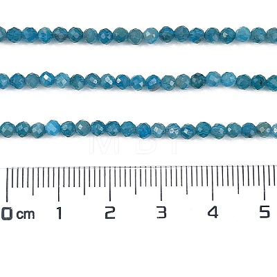 Natural Apatite Beads Strands X-G-Z057-B02-02-1