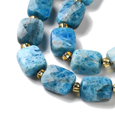 Natural Apatite Beads Strands G-H061-A04-01-1