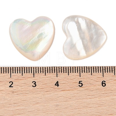 Natural White Shell Cabochons SSHEL-C012-20-1