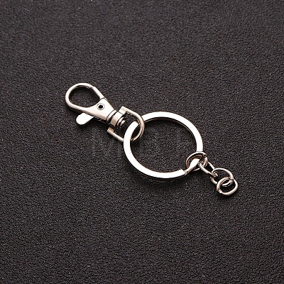 Iron Keychain Clasp PW-WG21368-01-1