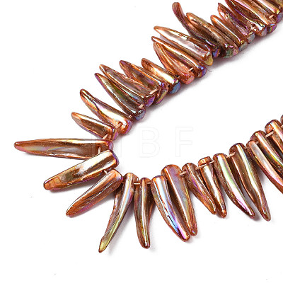 Electroplated Natural Freshwater Shell Beads SHEL-N026-197F-1