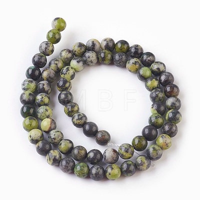 Natural Serpentine Beads Strands G-G767-05-6mm-1