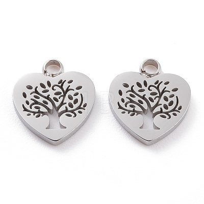Non-Tarnish 304 Stainless Steel Charms LS-STAS-Y002-05P-1
