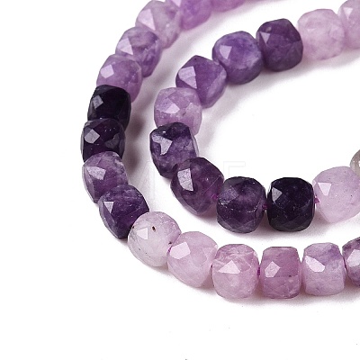 Gradient Color Natural Lepidolite Beads Strands G-N342-138B-1