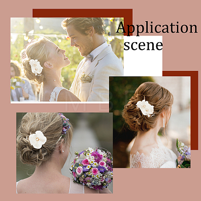 AHADERMAKER 1Set Wedding Bridal Alloy Alligator Hair Clips OHAR-GA0001-05-1