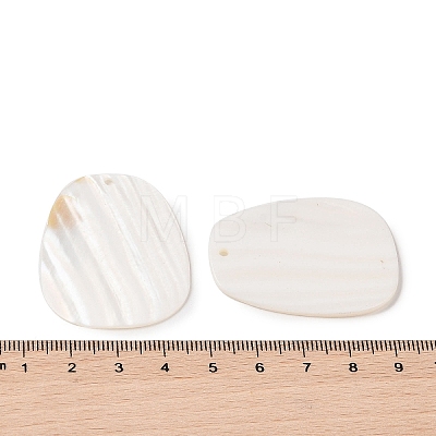 Natural Shell Pendant BSHE-H018-17-1