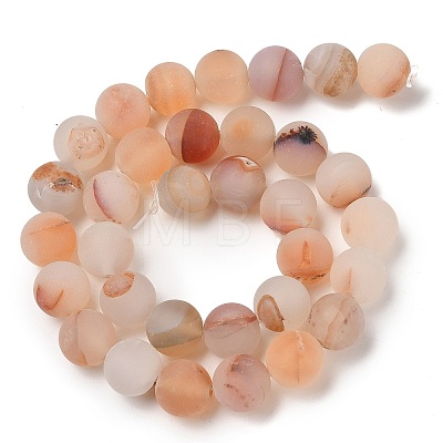 Natural Red Agate Beads Strands G-A248-A03-01-1
