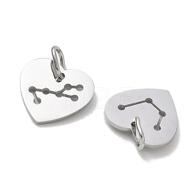 304 Stainless Steel Charms SA-CBAE491-01P-1