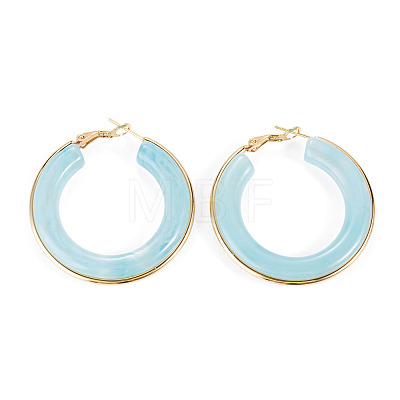 1 Pair 304 Stainless Steel Hoop Earrings EJEW-TA0001-89D-1