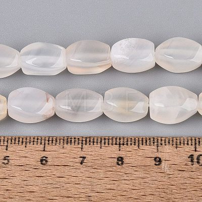 Natural Agate Beads Strands G-Q604-02A-12-1