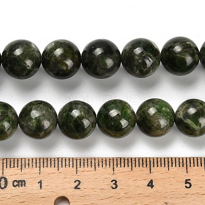 Natural Diopside Beads Strands G-R006-A01-01-1