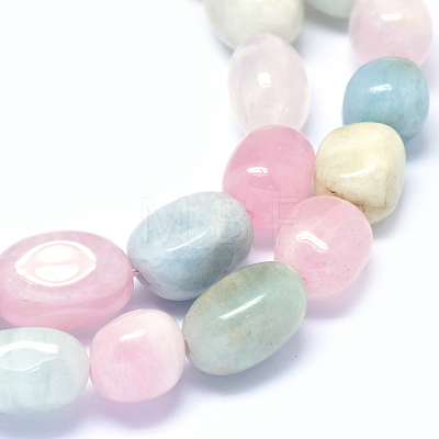 Natural Morganite Beads Strands G-O173-090-1
