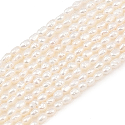 Natural Cultured Freshwater Pearl Beads Strands PEAR-F020-13-1