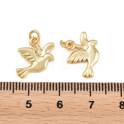 Brass Pendants KK-L275-58G-02-1