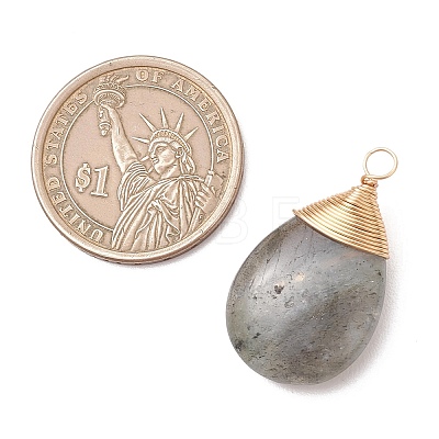 Natural Labradorite Pendants PALLOY-JF05086-02-1