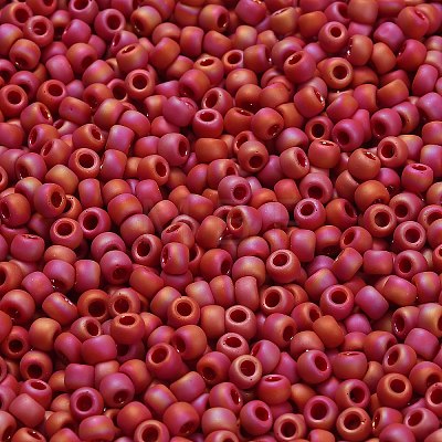 TOHO 6/0 Round Beads SEED-TR06-0768-1