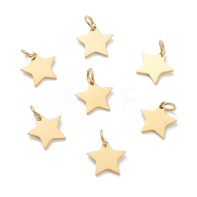 (Defective Closeout Sale:Scratched Surface)304 Stainless Steel Charms STAS-XCP0001-33G-1