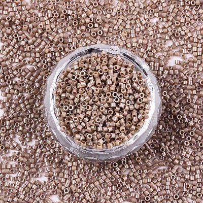 11/0 Grade A Baking Paint Glass Seed Beads SEED-S030-1029-1