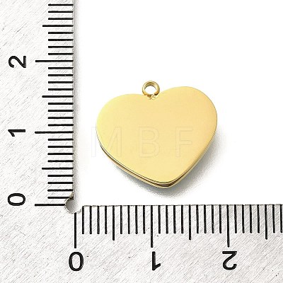 304 Stainless Steel Enamel Pendants STAS-Q347-01G-B-1