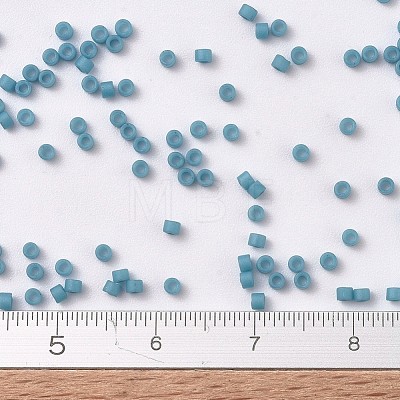 MIYUKI Delica Beads SEED-J020-DB0798-1