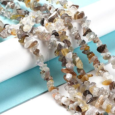 Natural Botswana Agate Beads Strands G-E607-A10-1