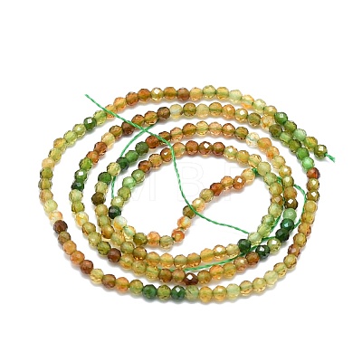 Natural Tourmaline Beads Strands G-P457-A01-14D-1