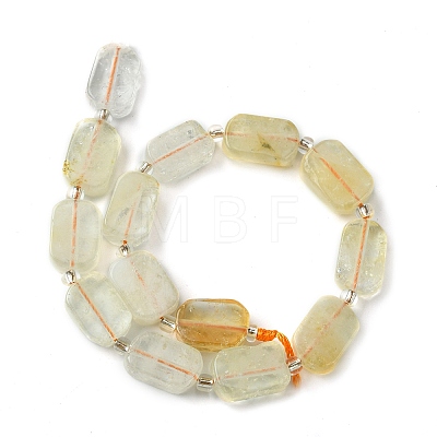 Natural Citrine Beads Strands G-C098-A14-01-1